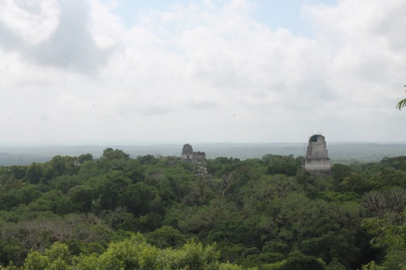 Temple IV view of the Gran Plaza temples surrounded by treetops.
