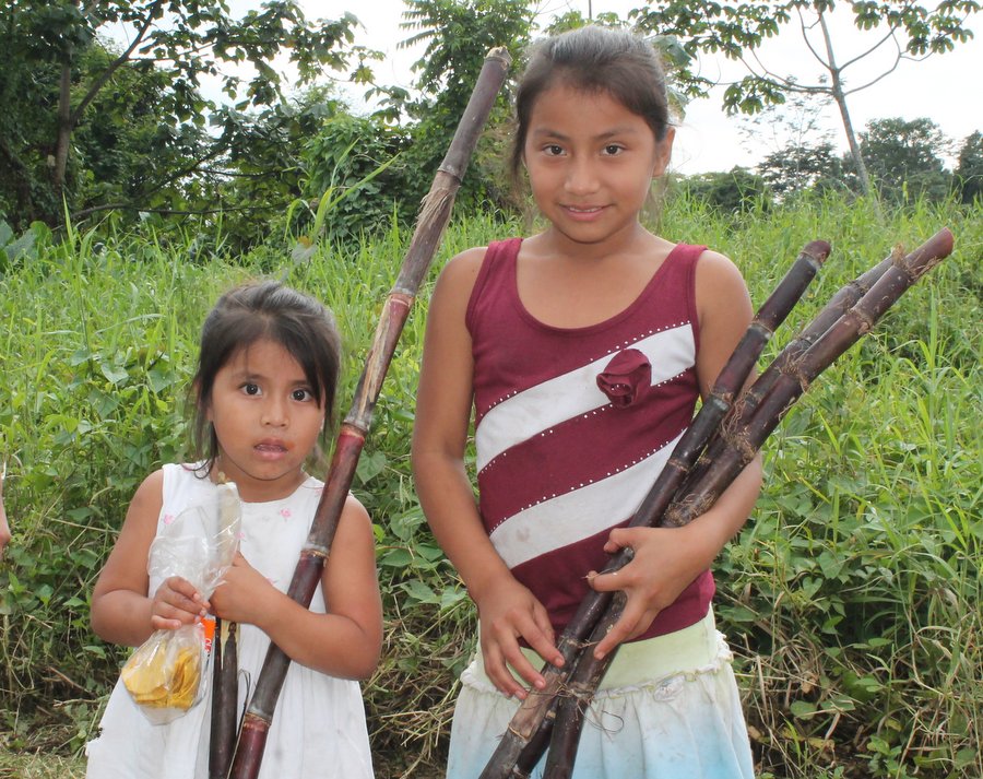 Guatemalan girls in sugar cane field
