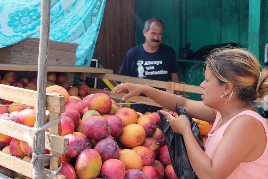 We are not sure if there is "seasonal produce" here but there seems to be a lot of cheap mangos right now.