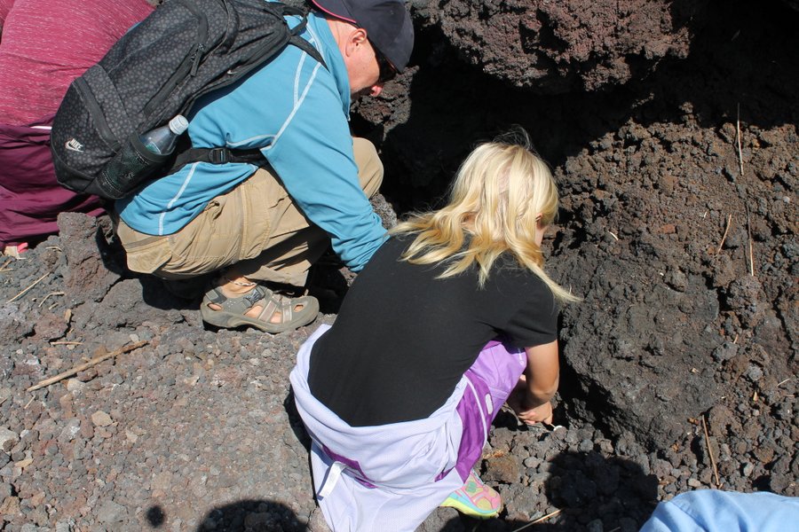 We stuck our marshmallows down among the hot lava rocks.