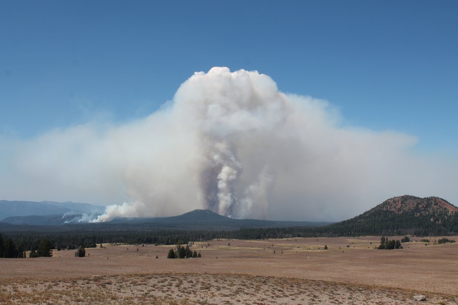 Forest fire spewing smoke near Crater Lake. Lily would not let me take a step closer for the picture.