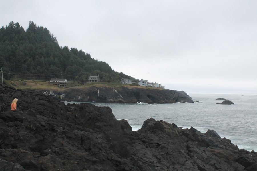 The homes along the water have a forest of trees at their back and the Pacific at their feet. So beautiful.