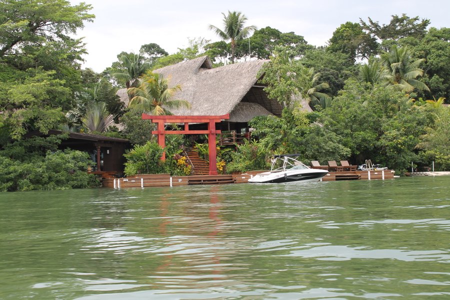 Just another beautiful jungle river home.