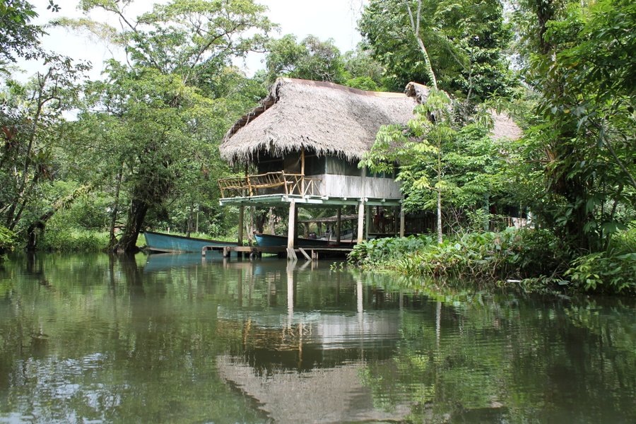 Waterside dwelling tucked back into the jungle.