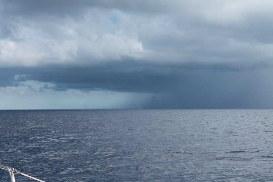 Between Cozumel and Cancun, we spotted a waterspout in an upcoming squall. It is small in the picture but it is a little white circle in the middle of the horizon. There was five minutes of laser focus on this little piece of excitement.